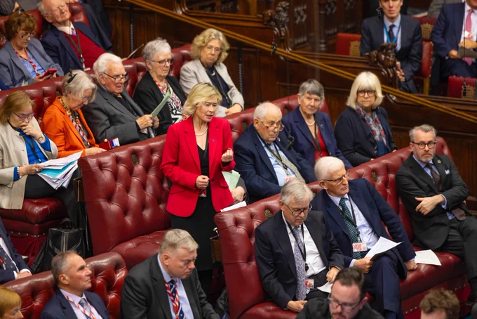 Baroness Smith of Newnham speaking in the Lords chamber