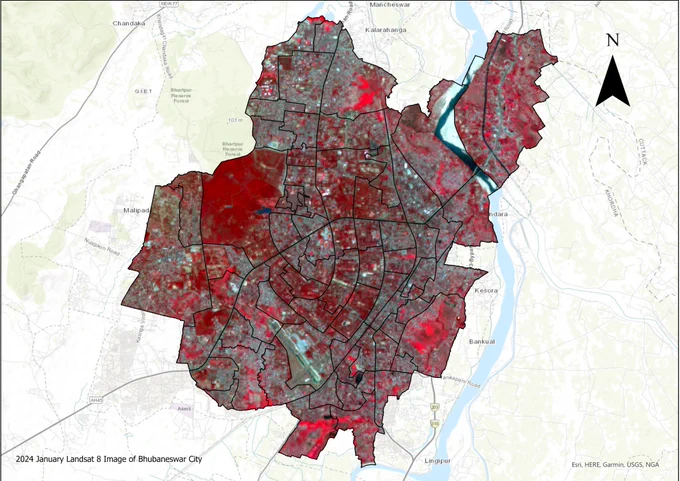 Satellite image of Bhubaneswar in 2024. Red depicts vegetation, grey indicates urban areas.