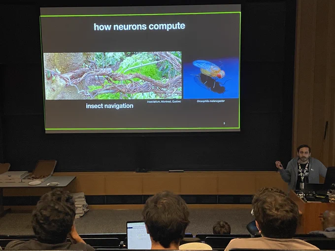 Gustavo discussing how insect navigation is a good model for how neurons compute