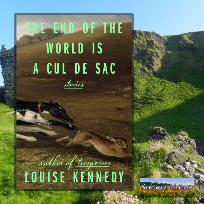 The End of the World Is a Cul de Sac by Louise Kennedy. Available as an ebook on Sunflower eLibrary. 