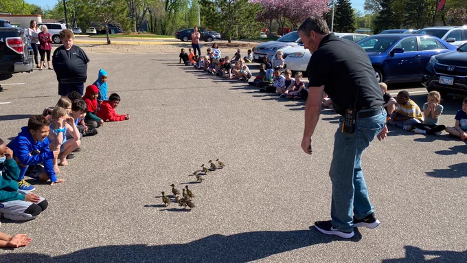 A man follows a row of ducklings throw rows of seated students out in a parking lot. 