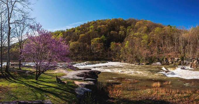 Redbud tree blossoms over a wooden bench looking at the cascades of Valley Falls in West Virginia. Prints available to decorate your home! #AlmostHeaven #AYearForArt 