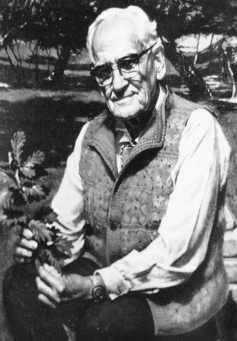 A portrait of Walter Cottam by painter Alvin Gittins.