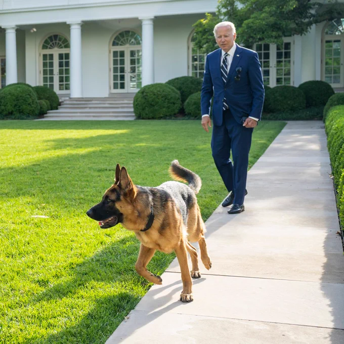 A picture of Joe Biden with a dog 