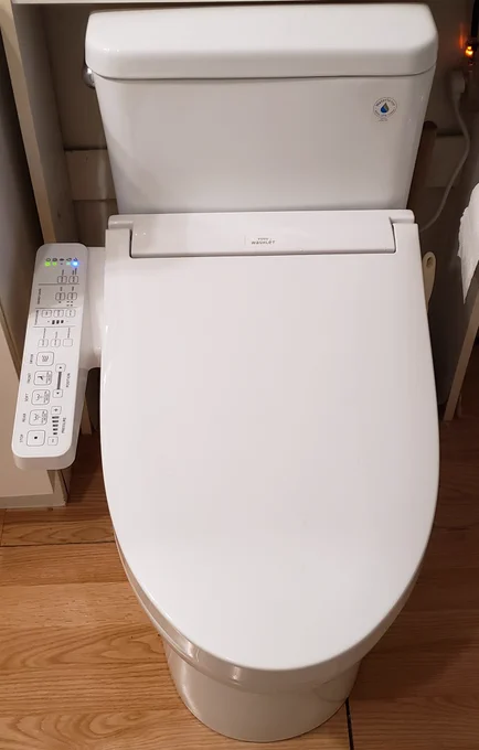 Japanese-style toilet installed in Canadian bathroom. 