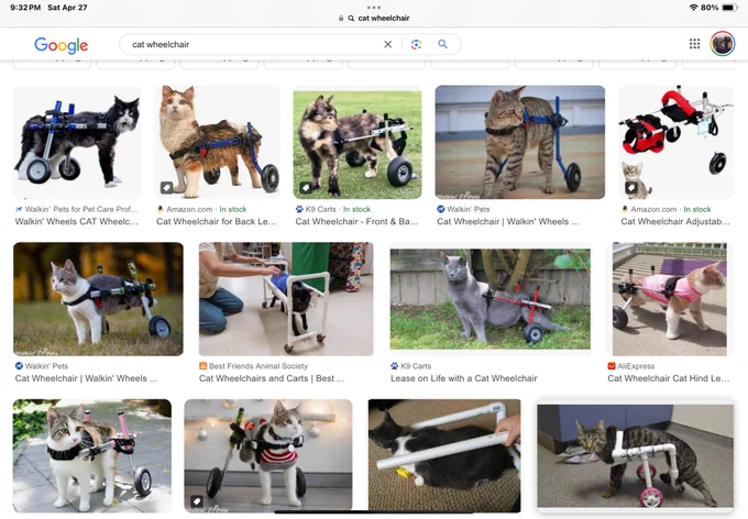 Image search results for various different cat wheelchairs