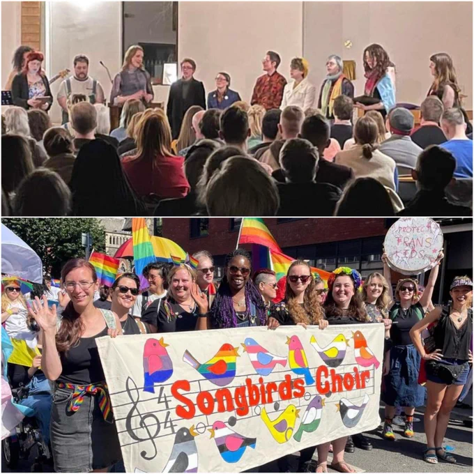 Image description: A two tile image. In the top is a picture of the trans singers from the audience at a recent show. There are 10 people of different ages and races. In the second image you can see 14 people of different races marching in a pride parade holding the Songbirds banner.