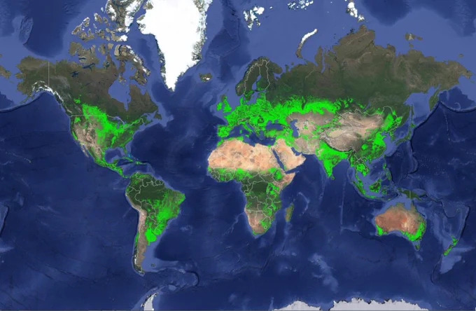 Computer map of the world that highlights major croplands - midwest U.S., central America, eastern South America, southern Europe, mid and southern-Africa, India, and far eastern Asian