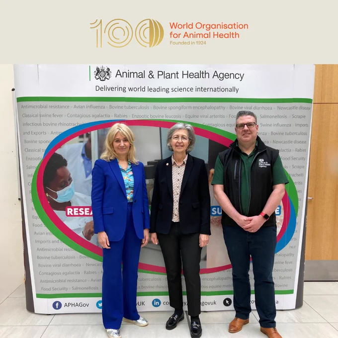 Banner with words '100: World Organisation for Animal Health - founded in 1924'. Underneath is a photograph of The UK Chief Veterinary Officer, Dr Christine Middlemiss, World Organisation for Animal Health Director General, Dr Monique Eloit, and APHA Chief Executive, David Holdsworth, who are standing in front of an Animal and Plant Health Agency banner at the WOAH centenary event at APHA Weybridge.