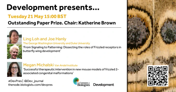 Development presents... webinar on Tuesday 21 May 15:00BST. Talks: (1) Ling Loh (The George Washington University) and Joe Hanly (The George Washington University and Duke University) on ‘From Signaling to Patterning: Dissecting the roles of Frizzled receptors in butterfly wing development’; (2) Megan Michalski (Van Andel Institute) ‘Successful therapeutic intervention in new mouse models of frizzled 2-associated congenital malformations’