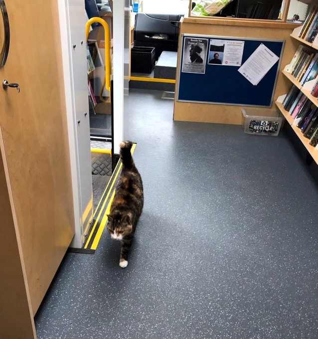 A cat on the Mobile Library