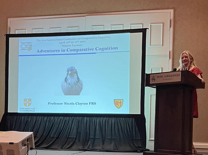 Professor Nicky Clayton at podium giving master lecture at CO3