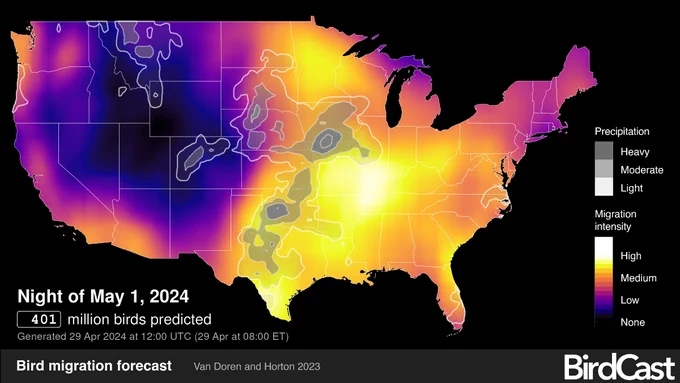BirdCast forecast for night of May 1, 2024: 401 million birds predicted