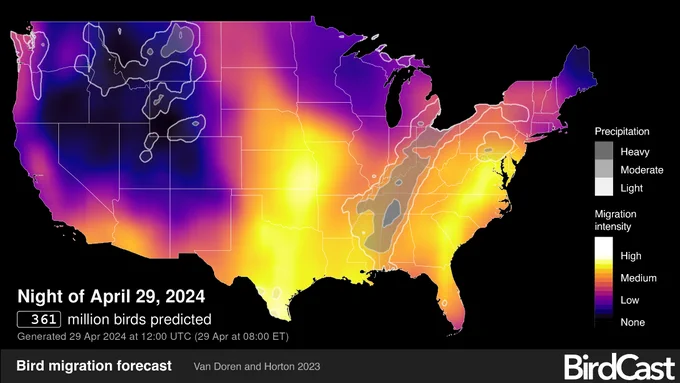 BirdCast forecast for night of April 29, 2024: 361 million birds predicted