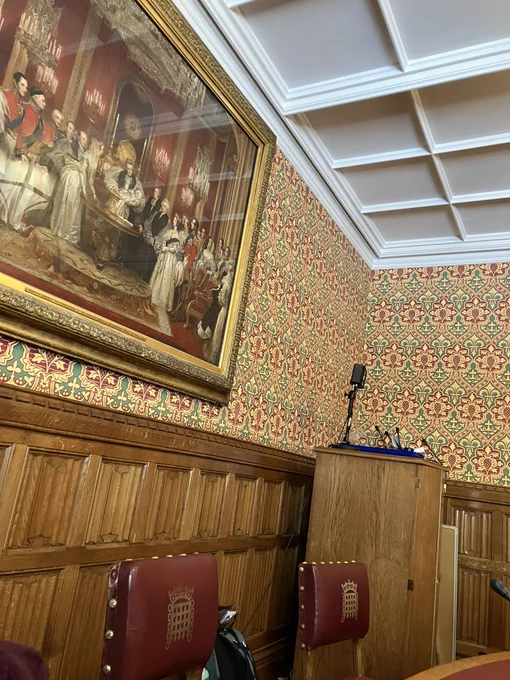 Interior of the room in the House of Lords where the APPG meeting took place
