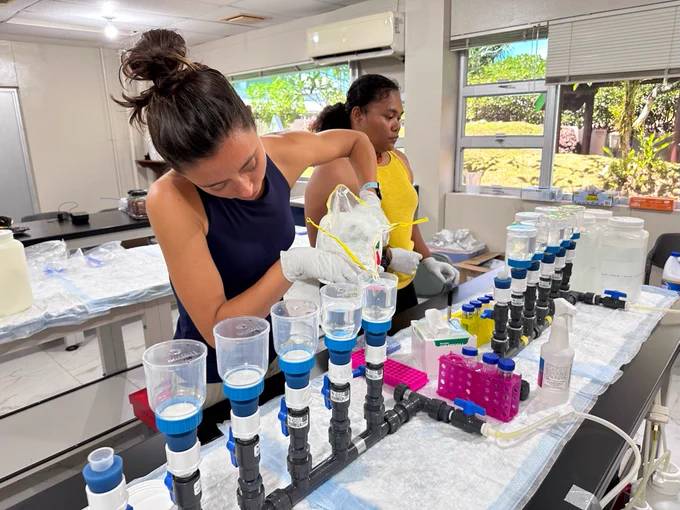 Two researchers pour seawater samples into a filter on a lab table.