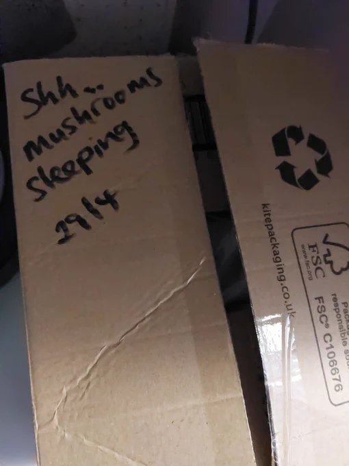 We've popped the spore and growth medium parcel on top of the fridge to make the most of the heat coming from the motor. See you back here in a couple of weeks to check on the progress of the mycelium.