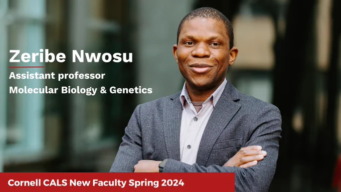 Zeribe Nwosu, Assistant professor, Molecular Biology & Genetics, Cornell CALS New Faculty Spring 2024