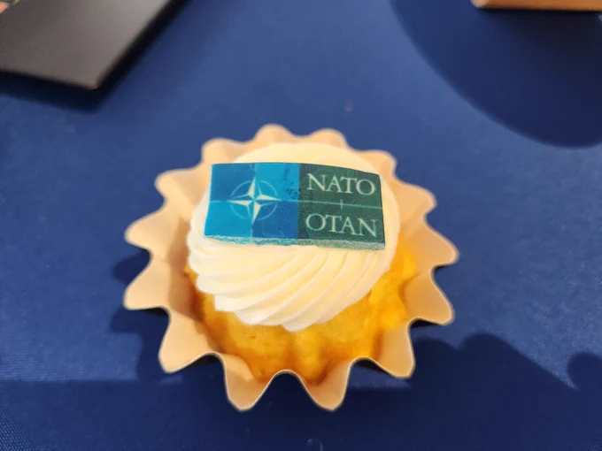 NATO Desserts at Outreach Days