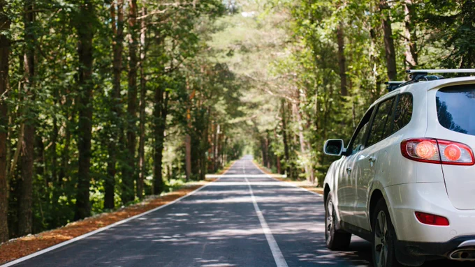 Picture of a car driving on a road in spring.