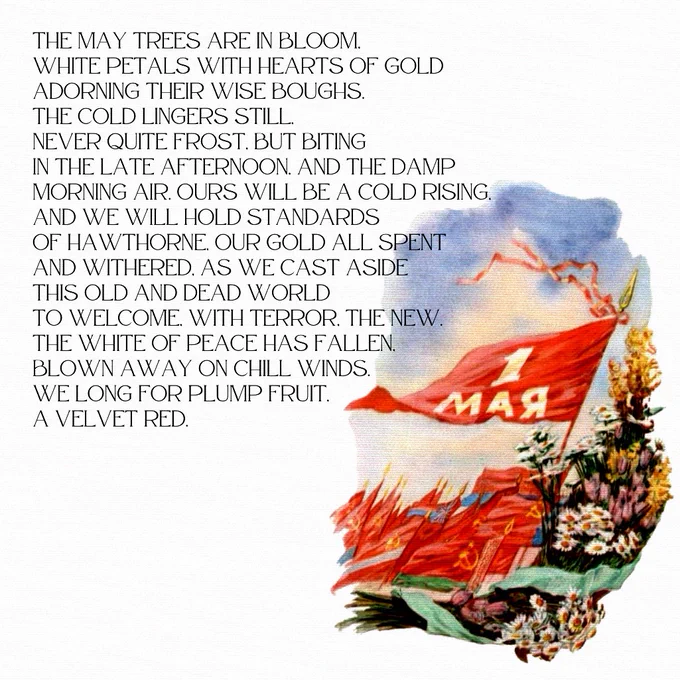 The May trees are in bloom, 
white petals with hearts of gold 
adorning their wise boughs. 
The cold lingers still, 
never quiet a frost, but biting 
in the late afternoon, and the damp 
morning air. Ours will be a cold rising, 
and we will hold standards 
of Hawthorne, our gold all spent 
and withered, as we cast aside 
this old and dead world 
to welcome, with terror, the new. 
The white of peace has fallen, 
blown away on a chill wind. 
We long for plump fruit, 
a velvet red.

Art of communist flags and flowers behind this poetry text.