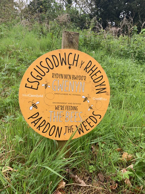 Bright signage for No Mow May