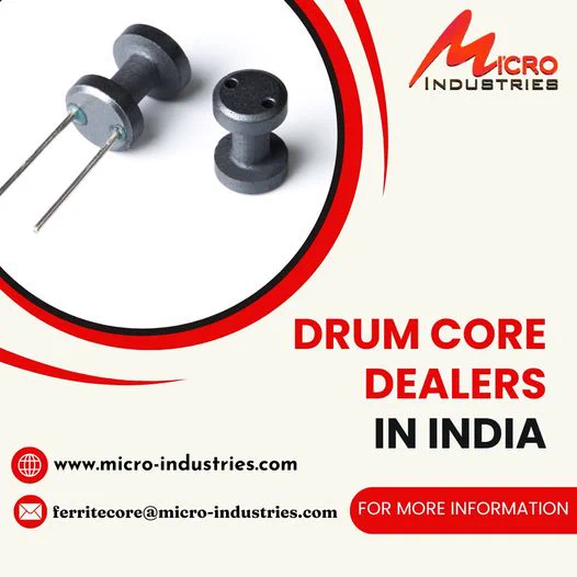 We are a well-known company in offering Ferrite Drum Cores, which is widely renowned for its durability and high quality.