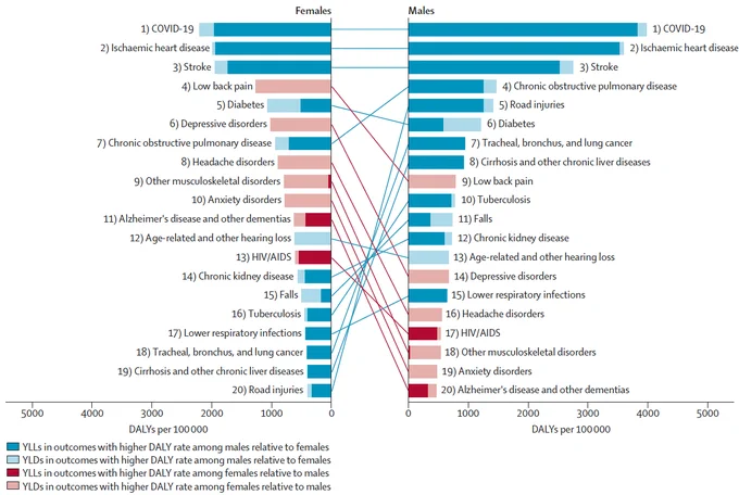 Figure of global rankings of the top 20 causes of DALYs globally for females and males in 2021. Copyright: 2024 The Author(s). Published by Elsevier Ltd. CC BY 4.0