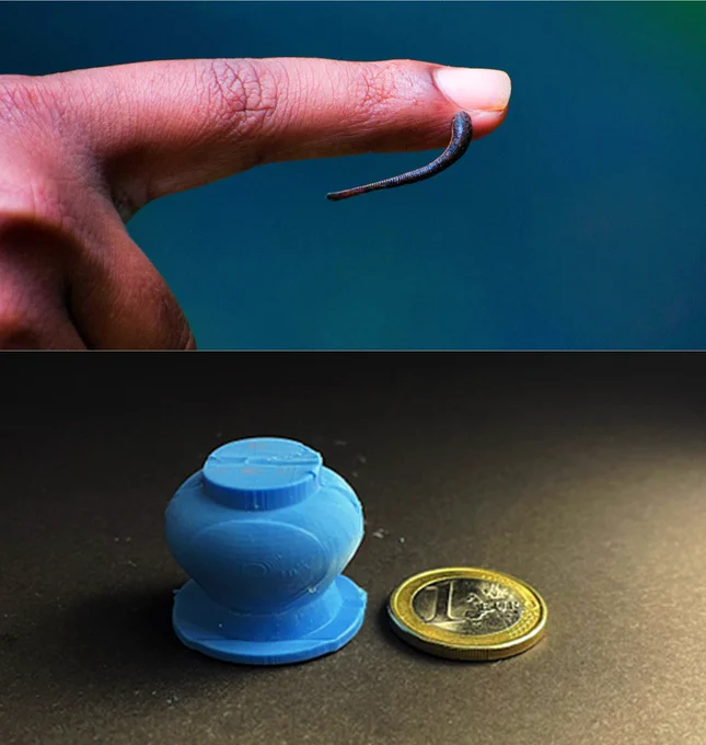 Illustrations with leecn on a human finger and small suction cup for collecting blood samples