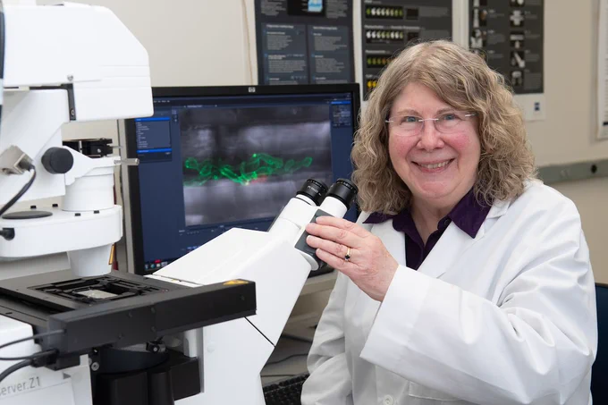 Dr. Valent smiles behind a microscope in a white labcoat
