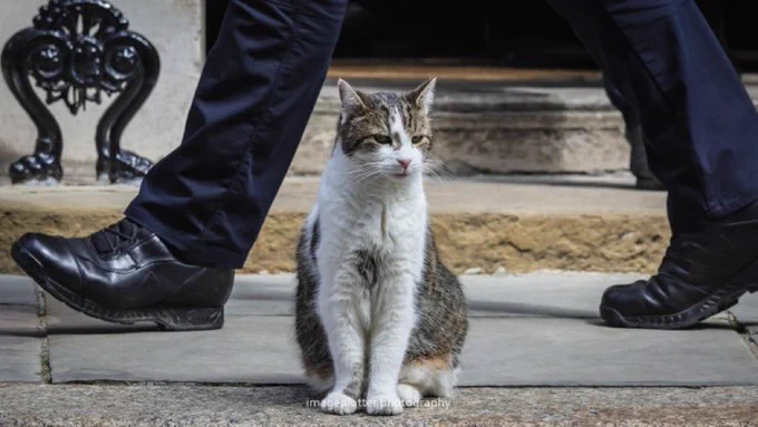 Larry standing stoically while someone walks behind him