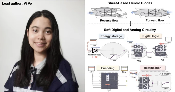 Vi Vo (photo from sites.bu.edu/ranzani-lab/people) and the graphical abstract of our work on sheet-based fluidic diodes.