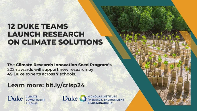 Mangrove seedlings. Aerial view of forest in background. Text: 12 Duke Teams Launch Research on Climate Solutions. The Climate Research Innovation Seed Program's 2024 awards will support new research by 45 Duke experts across 7 schools. Learn more: bit.ly/crisp24  Logos for Duke Climate Commitment and Nicholas Institute for Energy, Environment & Sustainability.