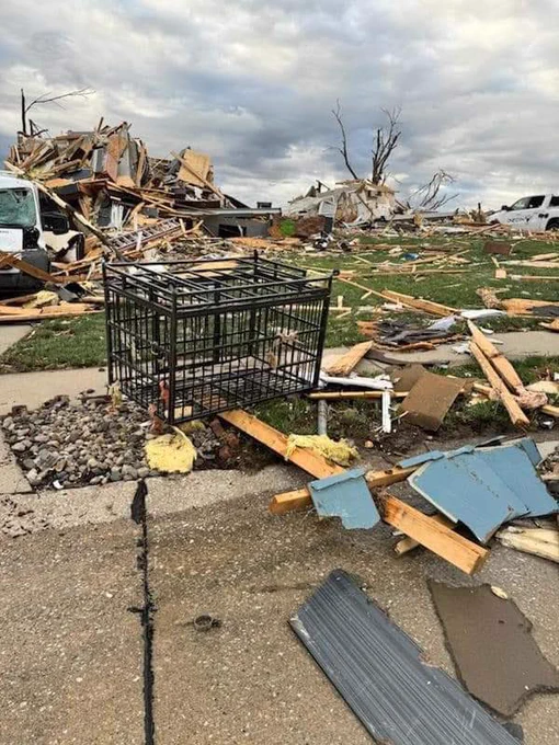 an upturned metal dog crate is sitting on a curb surrounded by rubble from a tornado. homes in the background are in shambles, and clouds overhead look suspiciously peaceful.