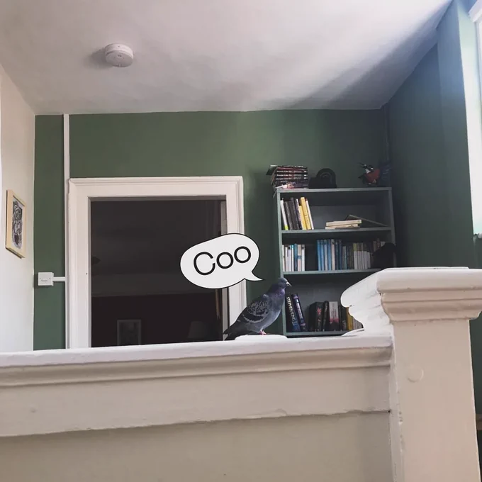 Image of Ross’s house and the staircase where there is a pigeon sat on the banister. There is a speech bubble with the word “coo” in it.