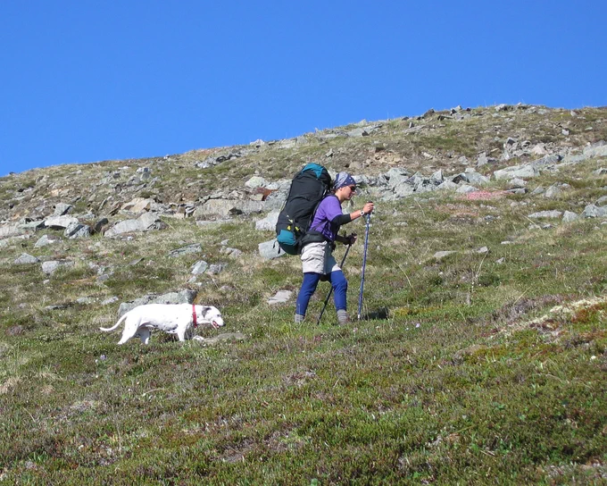 Time well spent - getting outside backpacking with your dog.  

Photo by C. McCaa, BLM 

Alt Text: White dog follows and backpacker on an alpine tundra slope.  