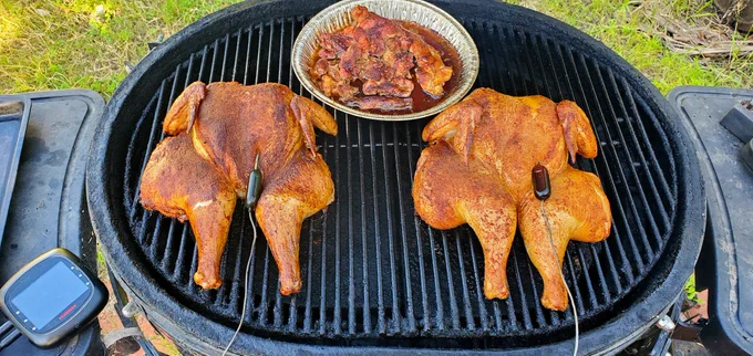 Slow Smoked spatchcocked whole chicken in a Primo Oval XL 400 ceramic grill. The chicken is coated with a my own blend of spices and the chicken have Bluetooth connected instant temperature gauges. There's also a pie tin containing the gizzard., necks and gizzards.