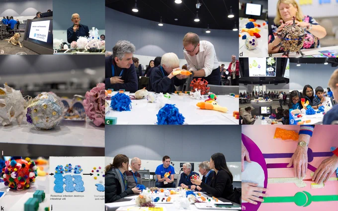 Collage of images showing four-legged guides at the inaugural Infection and Immunity Exhibition 2018, tactile explorations of immune cells, attendee exploring HIV model at UNSW 2018, audience members at the Infection and Immunity Exhibition 2018, tactile poster exploration, abacteria model, and neutrophil, dendritic cell and pasta-coated macrophage model artworks by Dr Erica Tandori.