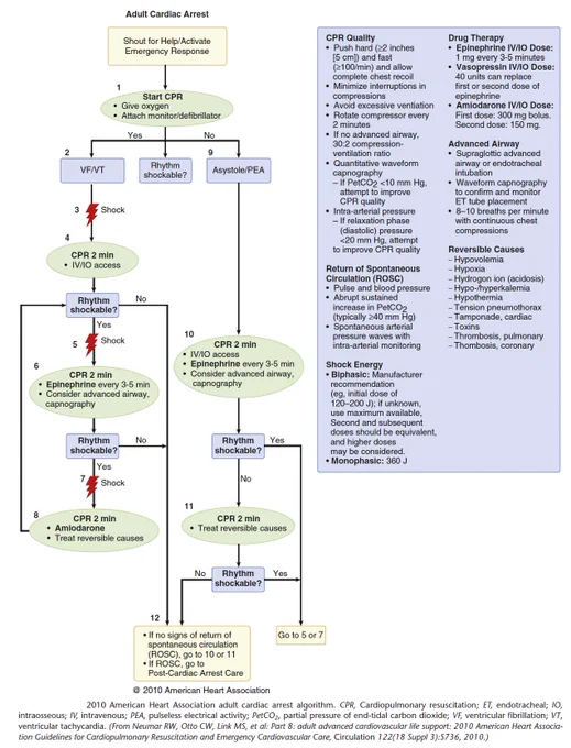 Adult Cardiac Arrest Algorithm