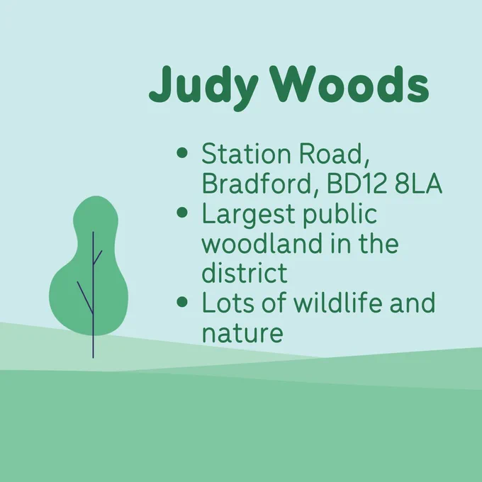 Animated nature landscape with the text “Judy Woods”.