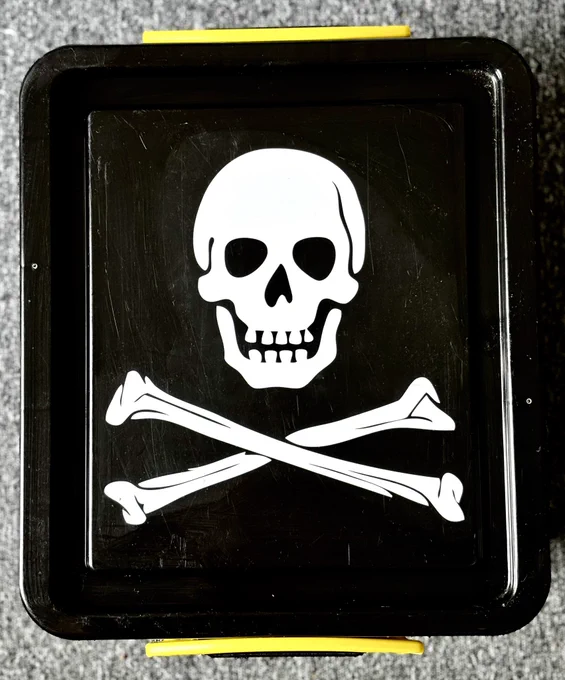 Photo of the top of a black plastic storage box with a white skull and crossbones on it.