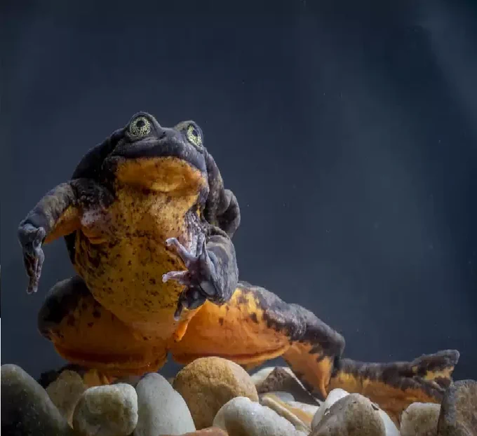 sapo sapo sapo sapo sapo sapo sapo sapo sapo sapo sapo sapo sapo sapo sapo sapo sapo sapo sapo sapo sapo sapo sapo sapo sapo sapo sapo sapo 
