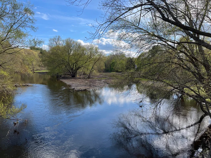 Blue sky and fair-weather clouds reflected in the river with early-spring light green leaves and flowers on the trees.