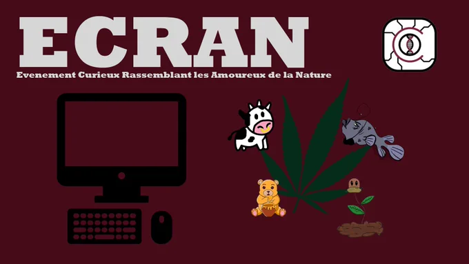 Vignette Bande Annonce Ecran : Évènement Curieux Rassemblant les Amoureux de la Nature
Logo de Culture Biologique Numérique, un logo d'ordinateur et les 5 mascottes de la promotion : une vache, un ours, un Amyloplaste, une baudroie et une feuille de cannabis