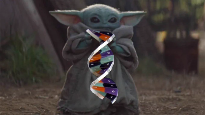 Grogu from the show "The Mandalorian" is holding a DNA origami strand. 