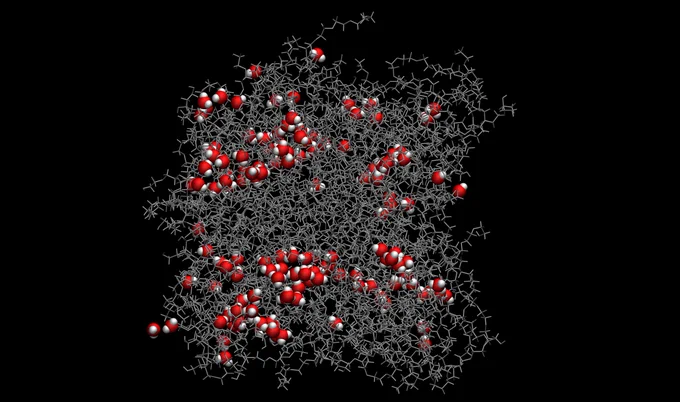 Water molecules in a polymer