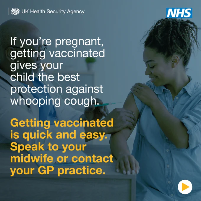Image of pregnant woman holding her belly.
Text reads: the pertussis vaccine, given to
pregnant women, helps protect young babies against whooping cough from birth. 