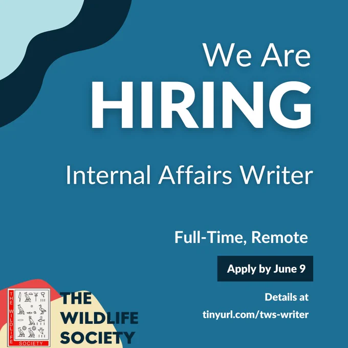 Blue, red graphic promoting job opening for internal affairs writer. Text reads: We are hiring. Internal affairs writer. Full-time, remote. Apply by Jun 9. Details tinyurl.com/tws-writer