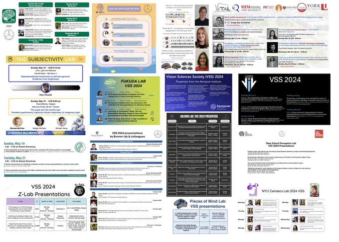 A collage of flyers from different research groups advertising their presentations at VSS 2024.