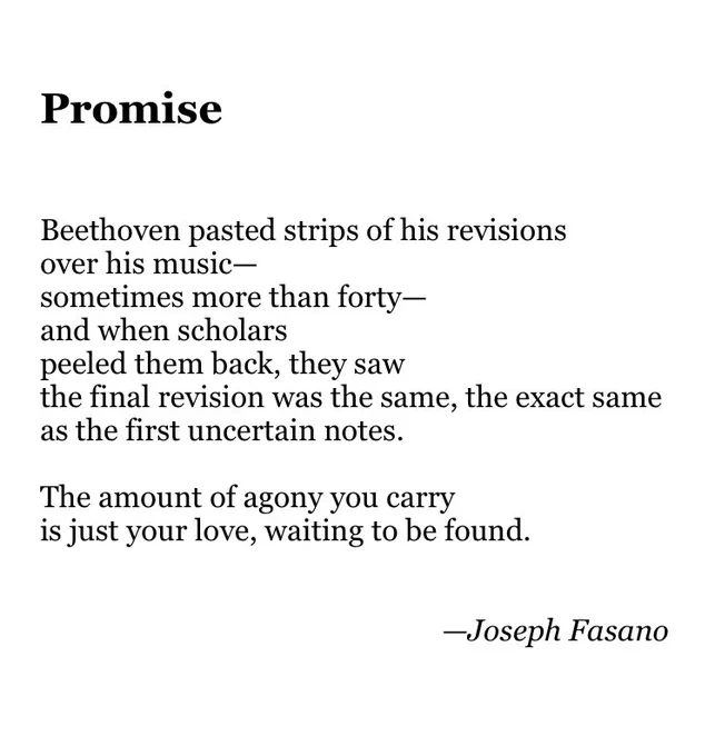 Promise


Beethoven pasted strips of his revisions
over his music—
sometimes more than forty—
and when scholars
peeled them back, they saw
the final revision was the same, the exact same
as the first uncertain notes.

The amount of agony you carry
is just your love, waiting to be found.


                                                       —Joseph Fasano